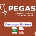 Facturacion Gasolinera PEGASO Facturacion ADN Fiscal