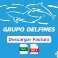 Facturacion Grupo Delfines Facturacion ADN Fiscal
