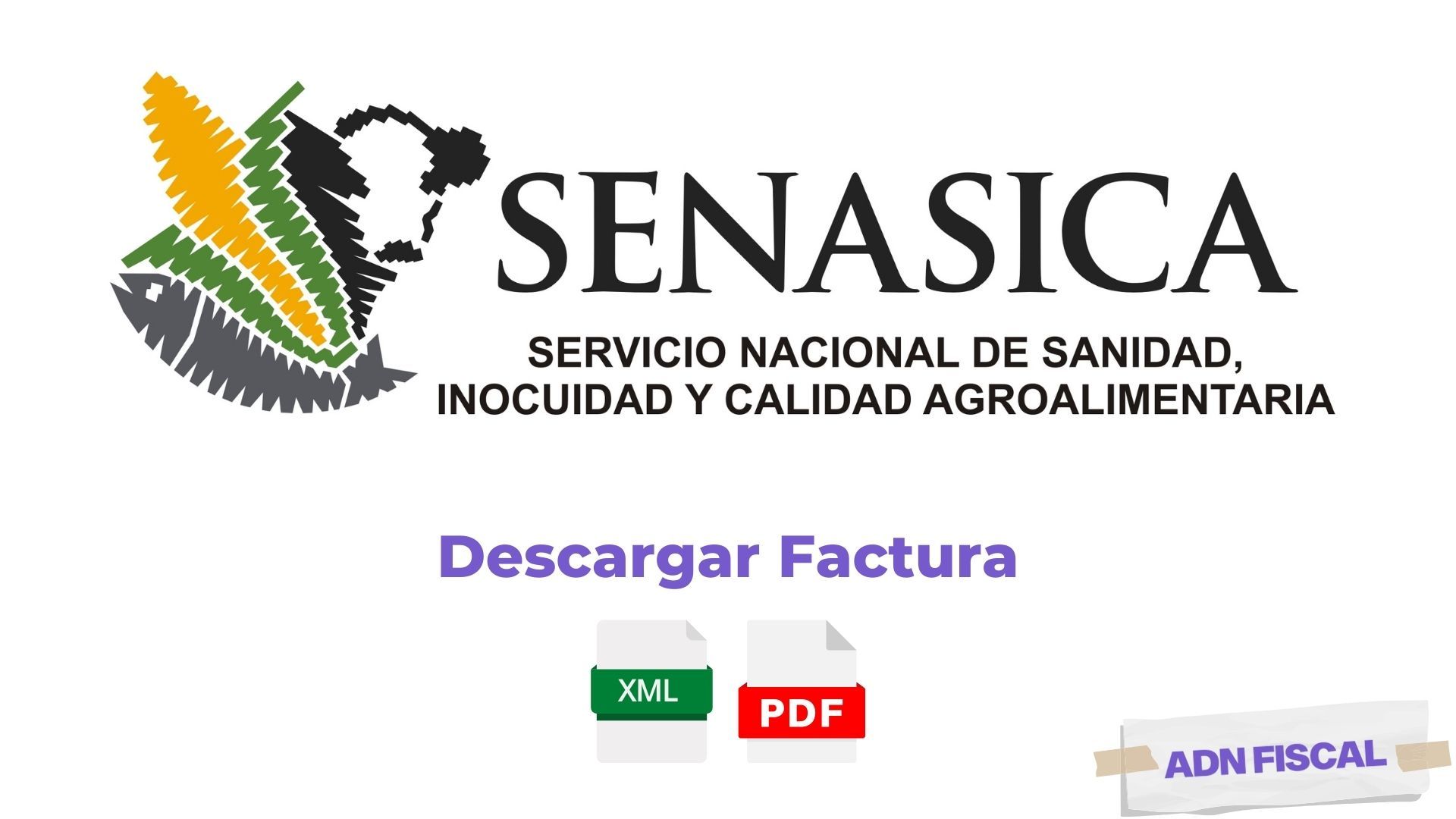Facturacion Senasica Tramites y Servicios ADN Fiscal