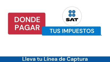 Como y Donde Pagar Impuestos del SAT con Línea de Captura