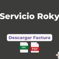 facturacion Servicio Roky Facturacion ADN Fiscal